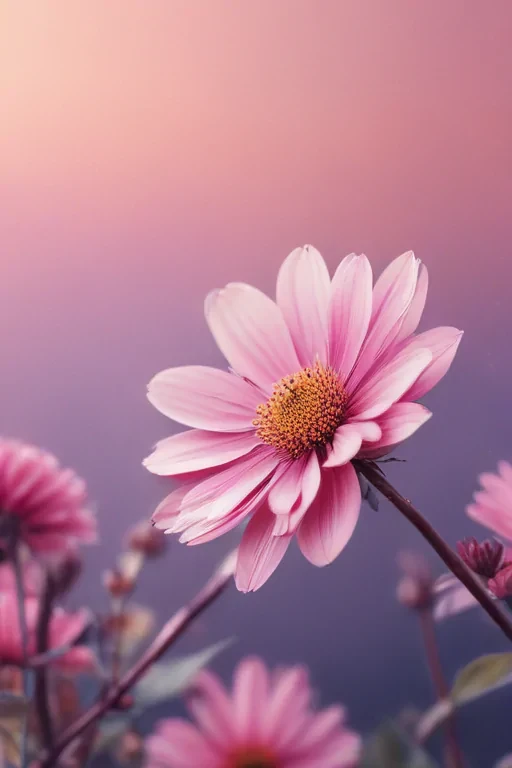 girly iphone backgrounds