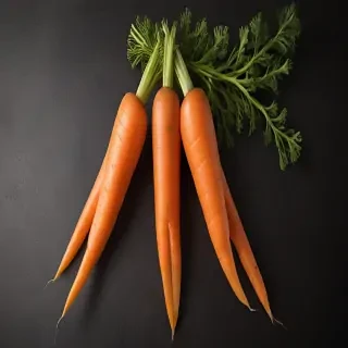 carrot png