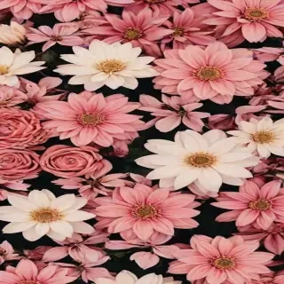 flowers aesthetic wallpaper