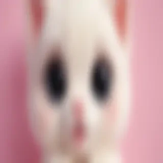 wallpaper mobile cute