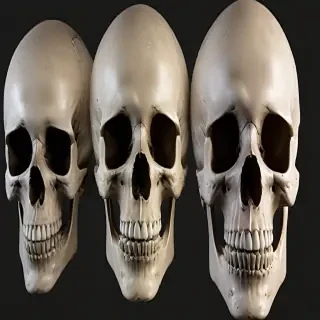 skull png transparent