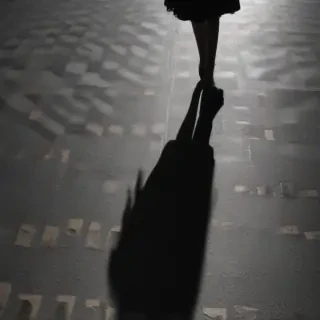 shadow transparent