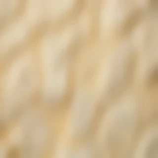 cream texture background