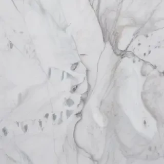 background white marble