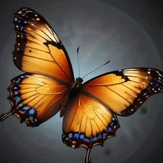 butterflies png