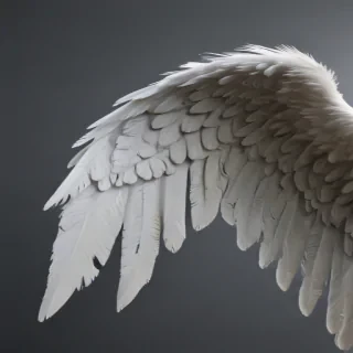realistic angel wings png