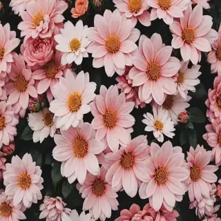 flowers aesthetic wallpaper