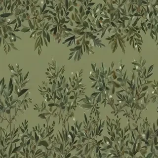 olive green aesthetic wallpaper