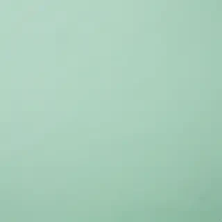 mint green background