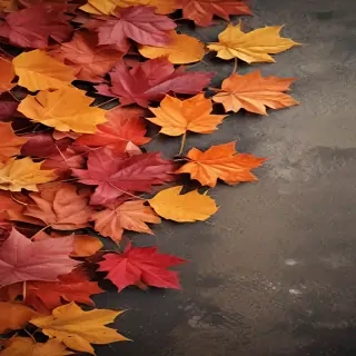 autumn leaves iphone wallpaper