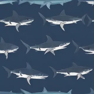 shark background