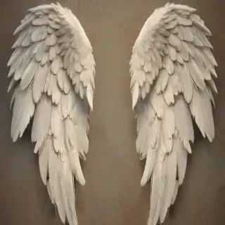 angel wings wallpaper