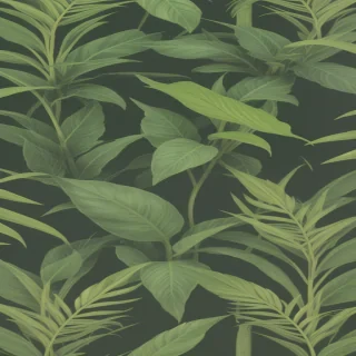plant wallpaper iphone