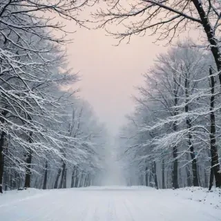 january background