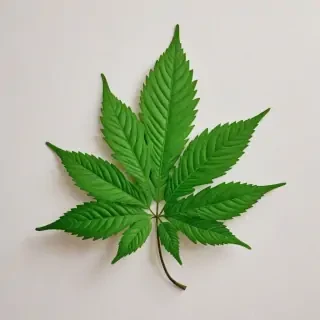 green aesthetic png