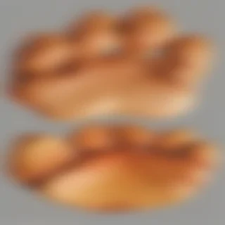 paw png