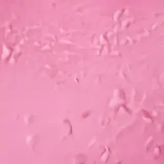 pink cover photo
