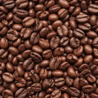 coffee bean png