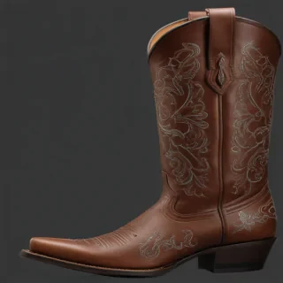 cowgirl boots png