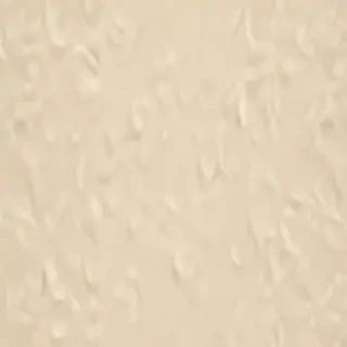 cream iphone wallpaper