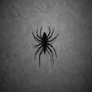 spider background