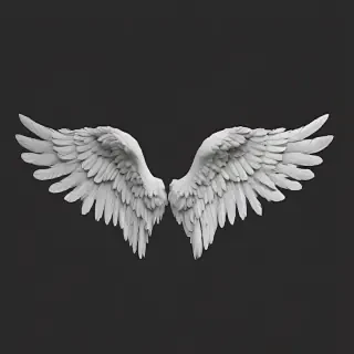 angel wings png
