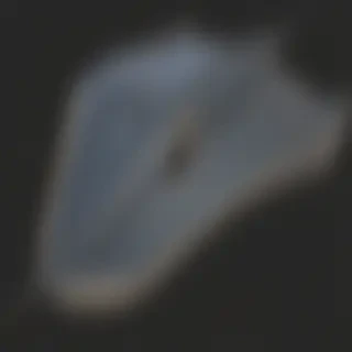 stingray png