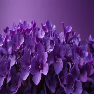 wallpaper purple cute