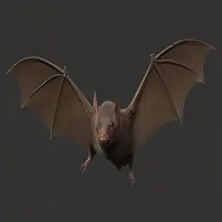 bat png