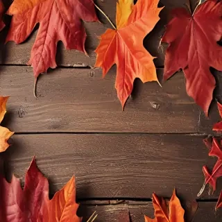 fall iphone background