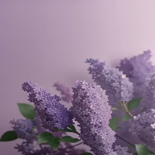 aesthetic lilac wallpaper