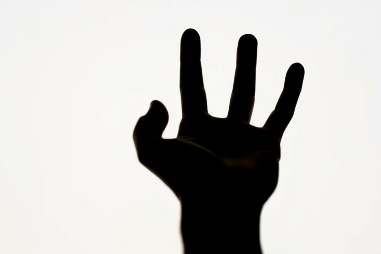 high-resolution image of a raised human hand silhouette against a light background, taken with a DSLR camera, f/2.8 aperture, 1/250 shutter speed, 50mm lens, natural lighting, focused on the hand's contours and details