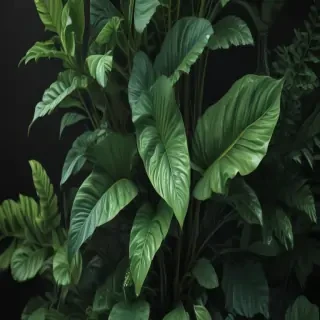 plant phone wallpaper