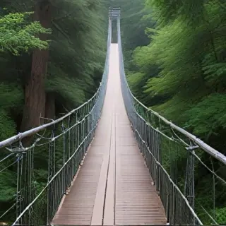 suspension bridge