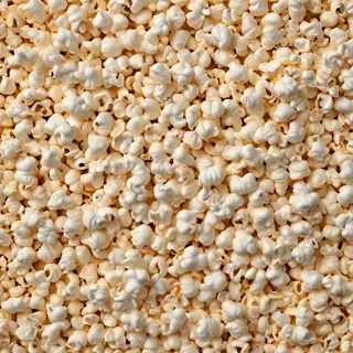 popcorn png