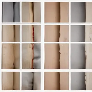 divider images