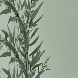 sage green aesthetic