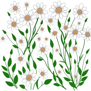 clipart transparent background flowers