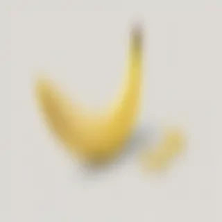 banana peel png