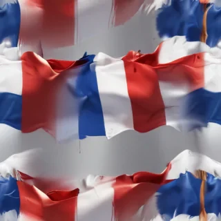 french flag