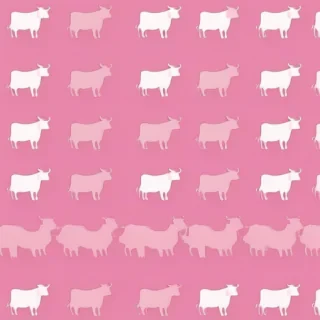 pink cow print wallpaper