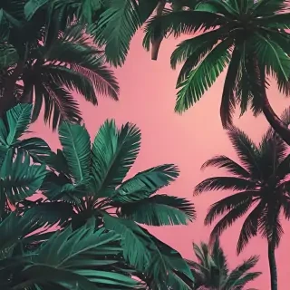 tropical iphone wallpaper