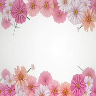 flowers clear background