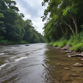 river png