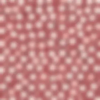 polka dot bg