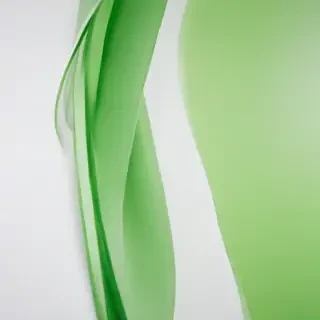 background white and green