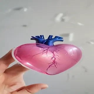 aesthetic transparent heart