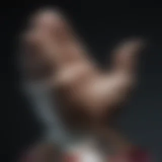 praying hands transparent