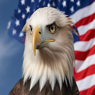 american eagle dog