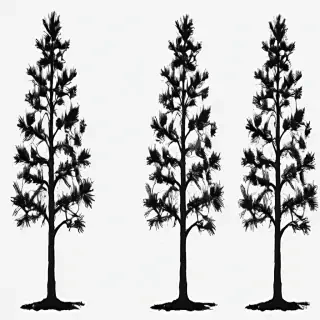 black and white pine tree clip art